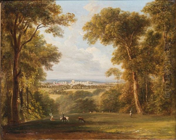 Home Park, Windsor - view 1