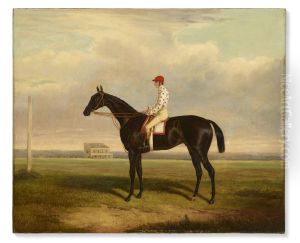 Earl of Zetland's 'Voltigeur', winner of the Derby and the St. Leger 1850, with J. Marson up
