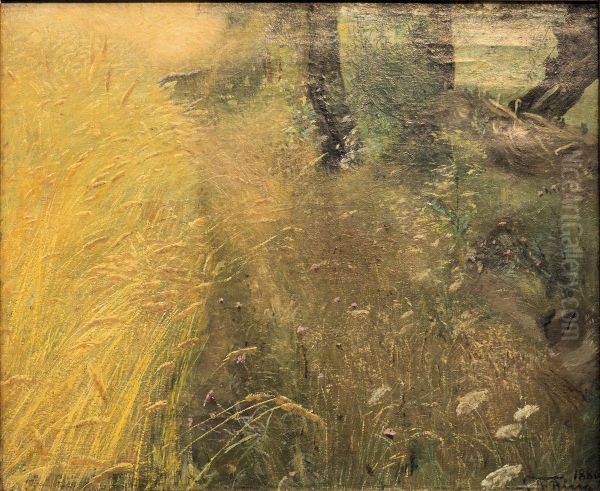Path Going past a Ripe Cornfield - view 1