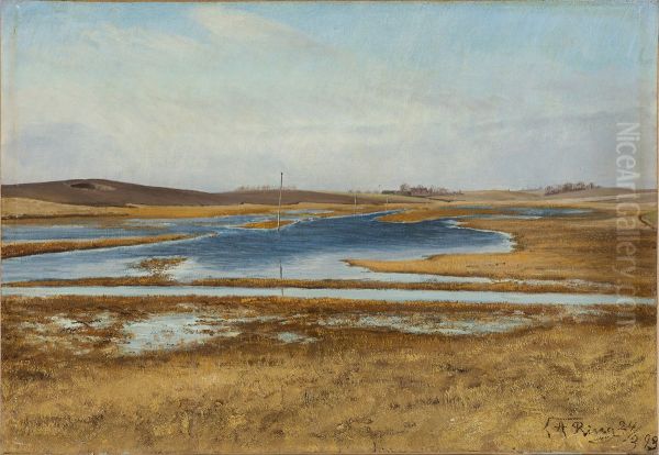 A flooded meadow. Hills in the background. Sunshine. - view 1