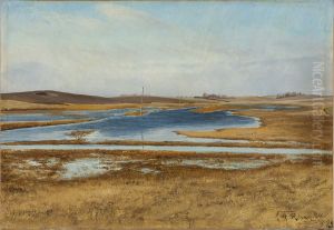 Oversvommet eng. I baggrunden bakker. Solskin. Naestvedegnen