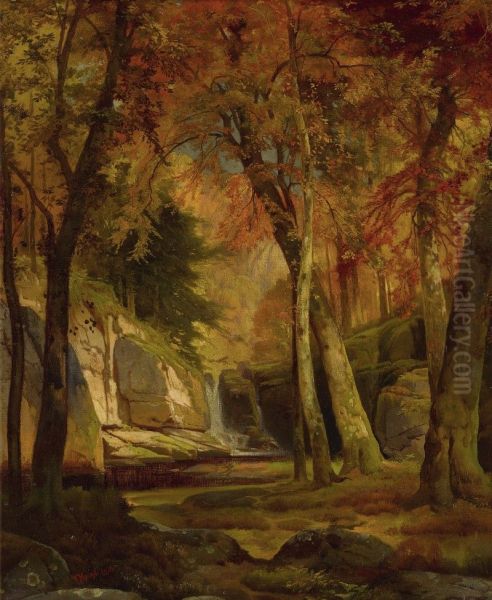 AUTUMN WOOD SCENE - view 1