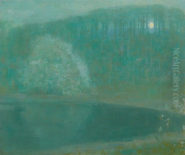 MOONLIT POND, MAMARONEK - view 1