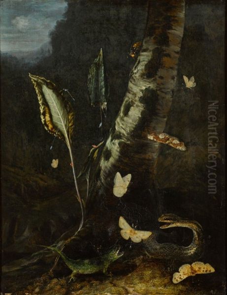 FOREST FLOOR STILL LIFE, WITH A LIZARD, A SNAKE AND BUTTERFLIES - view 1