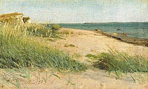 Skraent med marehalm ved Eno. Solskin. Skraent med marehalm ved Eno. Solskin.