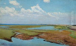 Summer landscape at Karrebaeksminde. Summer landscape at Karrebaeksminde.