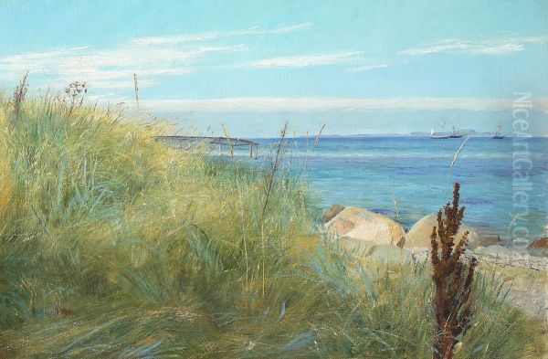 Strandmotiv med marehalm. - view 1