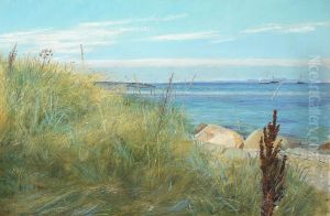 Strandmotiv med marehalm.