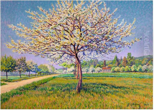 ARBRES EN FLEURS - view 1