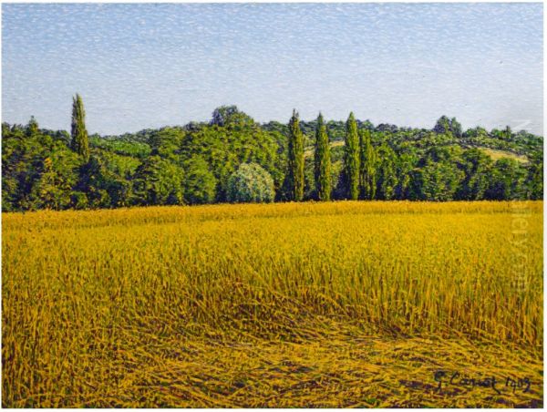 LE CHAMP DE BLE - view 1