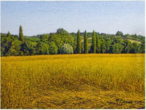 LE CHAMP DE BLE