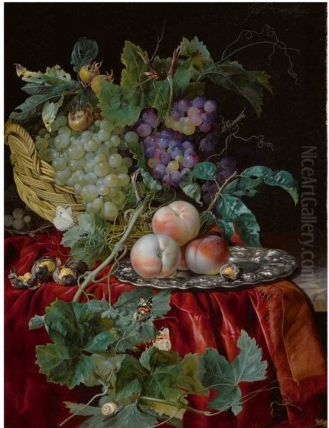 Still life with grapes in a basket, peaches on a silver dish, medlars, two butterflies, a fly and a snail, all on a red velvet cloth over a partially draped ledge - view 1