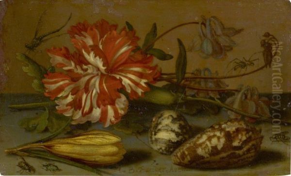 STILL LIFE WITH A CARNATION AND A CROCUS, TWO SHELLS, AND A DRAGONFLY, SPIDER AND FLIES, ALL ON A STONE LEDGE - view 1