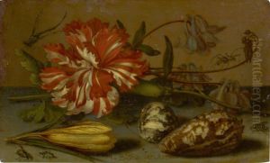 STILL LIFE WITH A CARNATION AND A CROCUS, TWO SHELLS, AND A DRAGONFLY, SPIDER AND FLIES, ALL ON A STONE LEDGE