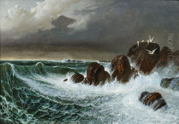 SEAGULLS IN THE STORM - view 1