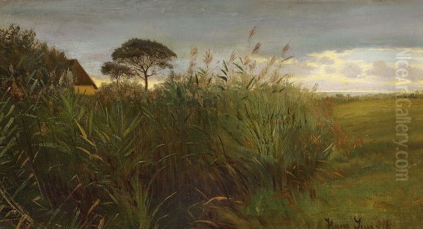 Landscape at dusk. - view 1