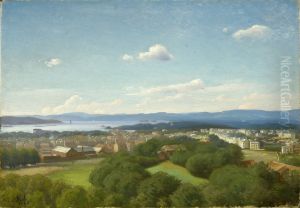 Utsikt fra St. Hanshaugen by Karl Jensen-Hjell