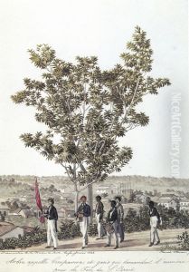 Arbre appelle Genipavera... by Hercules Florence