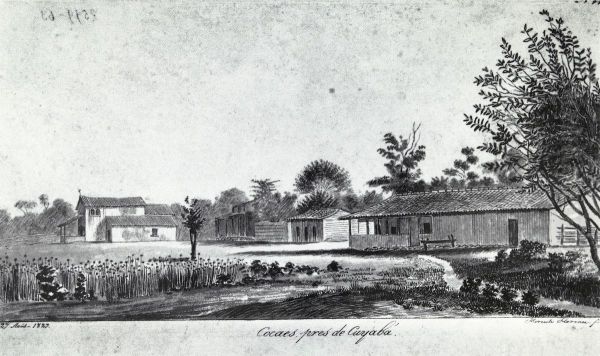 Cocaes, pres de Cuyaba. - view 1
