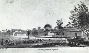 Cocaes, pres de Cuyaba. by Hercules Florence