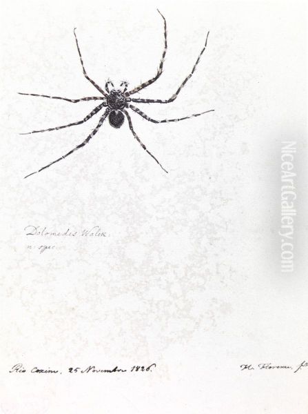 n: spec - view 1