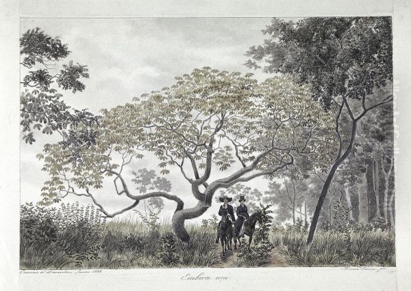 Embira ucu. - view 1