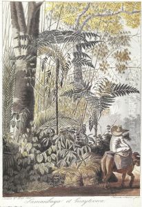Samanbaya et Guaytivoca by Hercules Florence