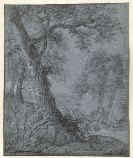 Tree in a hilly landscape with a waterfall and rocks - view 1