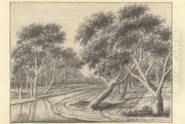 Forest view - view 1