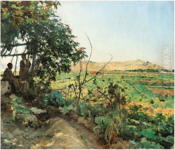 Paysage des abords de Tunis - view 1