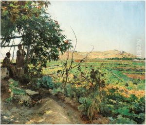 Paysage des abords de Tunis