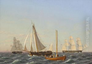Marine. Ships cruising.