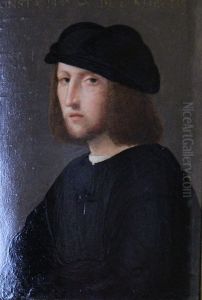 Portrait d'un homme by Andrea Del Sarto