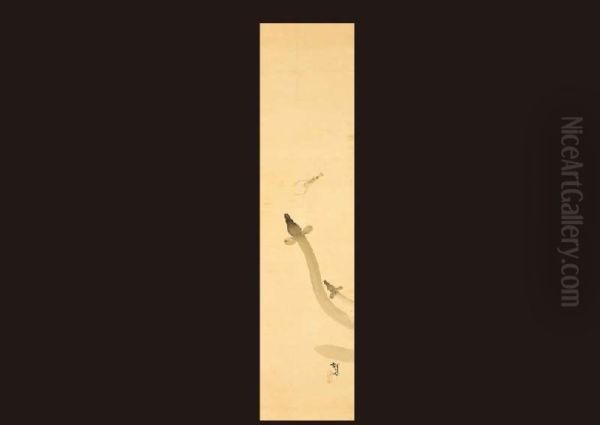 Eel - view 1