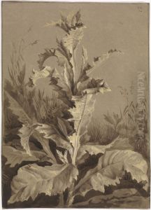 Plant study, thistle by Carl Gustav Carus