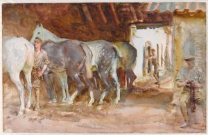 Scots Greys Scots Greys
