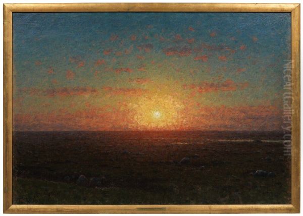 The Heath at Sunset - view 1