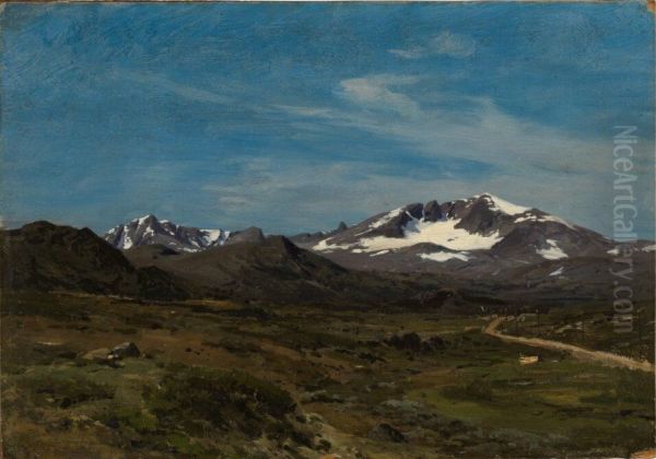 The Mountain Plateau of Dovre - view 1