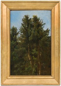 Trees. Study