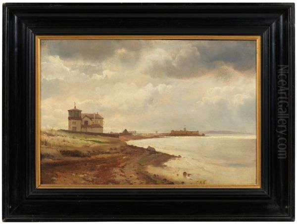 Coastal Landscape - view 1