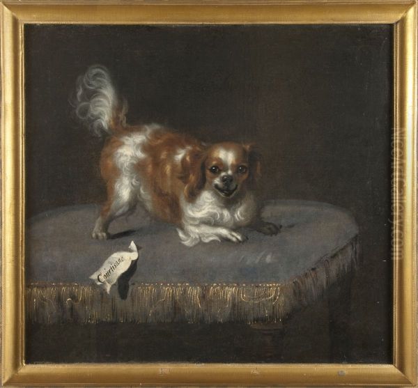Hunden Courtisane - view 1