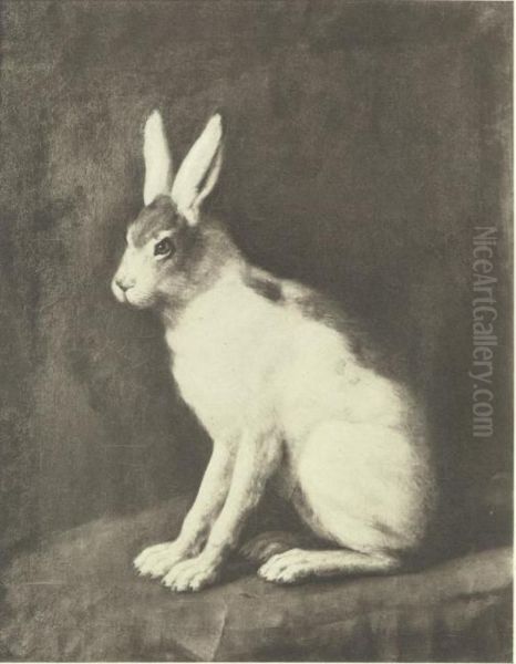 Hare - view 1