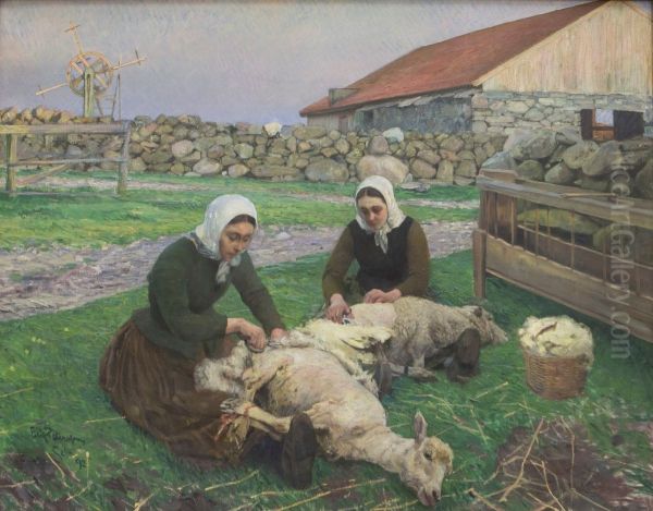 Shearing Sheep - view 1