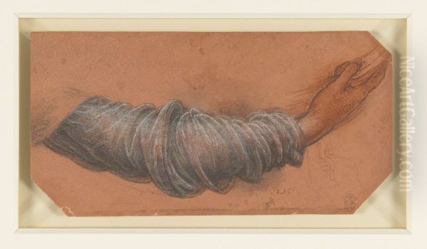 Study for the Drapery of the Virgin's Right Arm - view 1