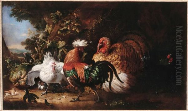 Oiseaux de basse-cour - view 1
