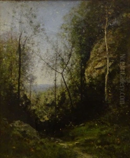 Chemin en montagne - view 1
