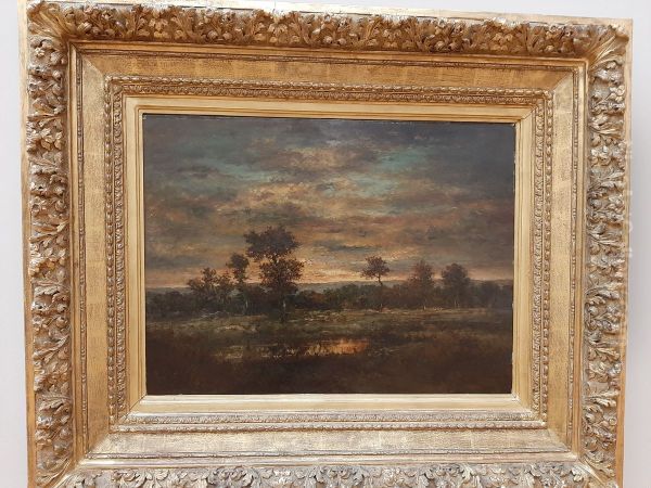 Mare et lisiere de bois - view 1