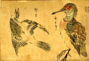 Wakakusa, Album of bird studies. by Ikeda Mitsumasa