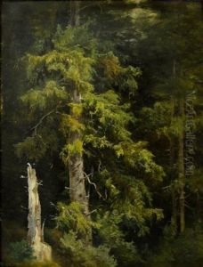 Pine forest. Study by Ivan Shishkin