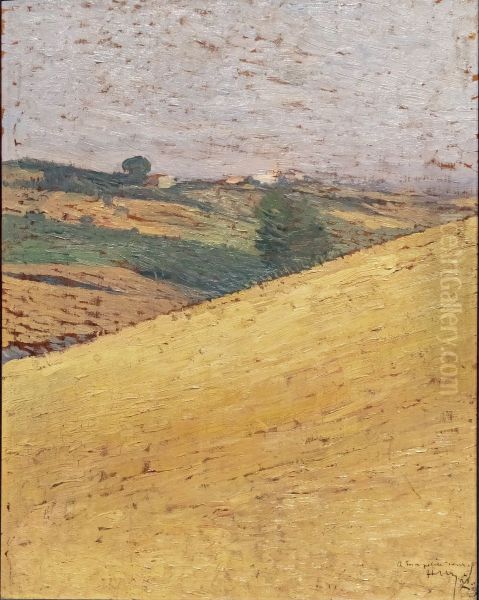 Paysage du Lauragais - view 1